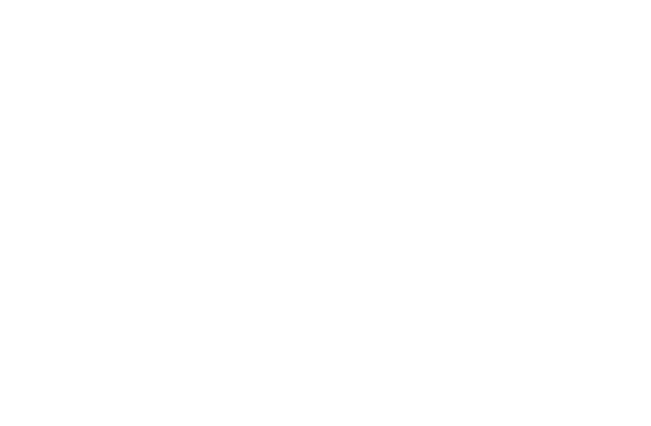 X1 Team